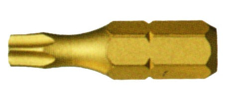 SILBERSPEER TIN-Bits Spitzenqualität Fl-Ph-Pz-Tx Bit Silberspeer   